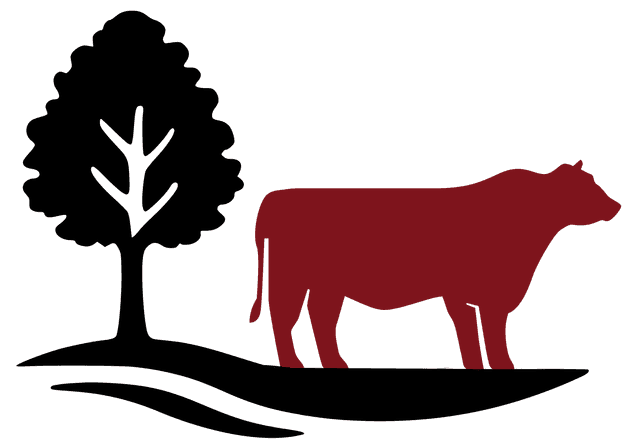 Logo El Arroyo